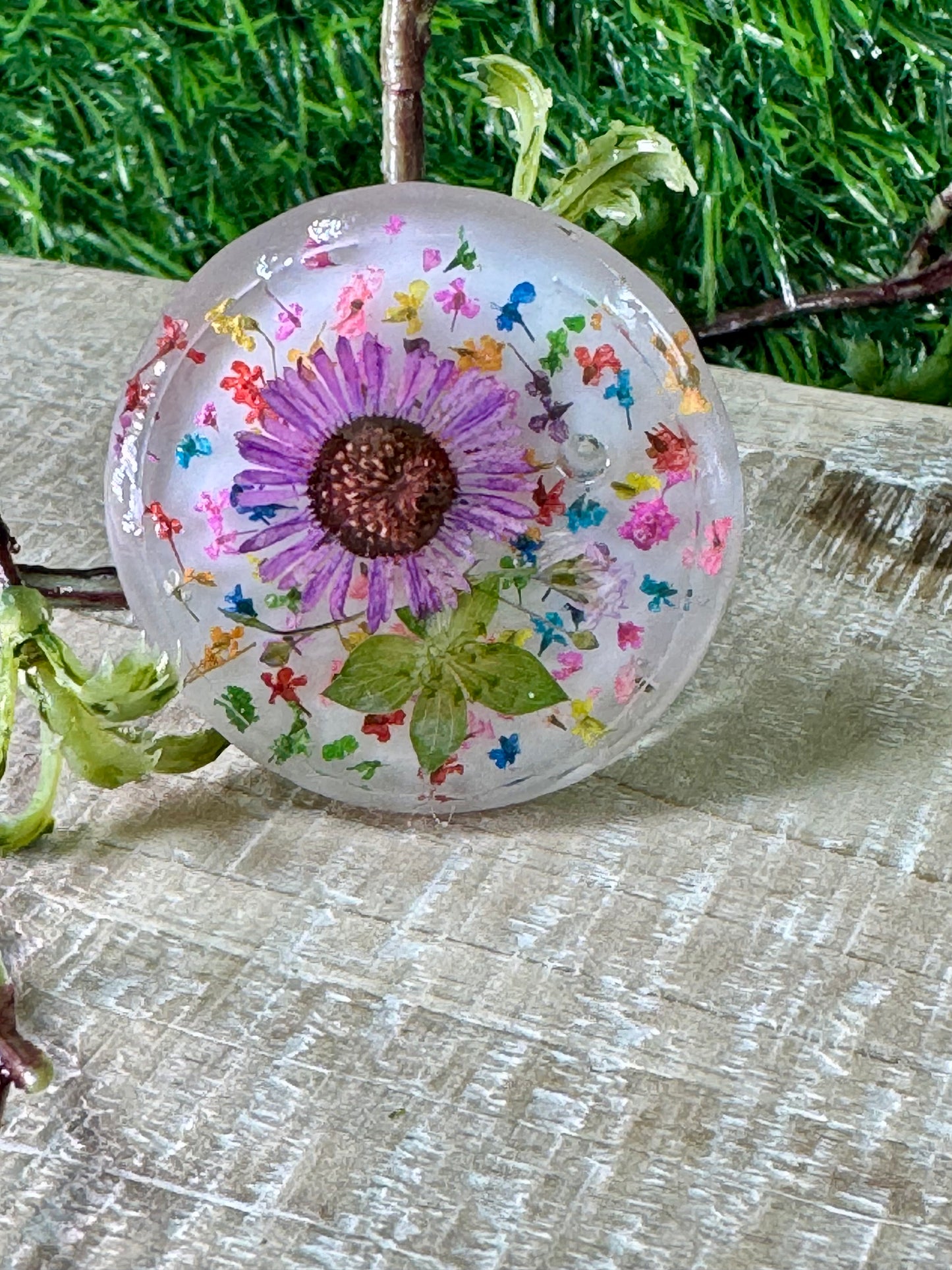 Lavender Daisy with Tiny Colored Petals